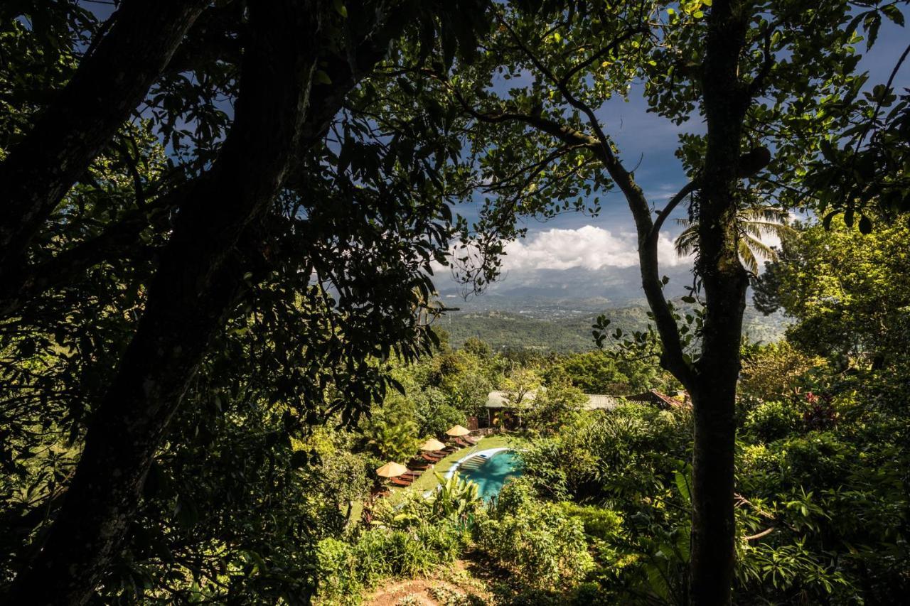 Yasmin Hill Longevity Oasis - Former Galavilla Boutique Hotel & Spa Kandy Exteriér fotografie